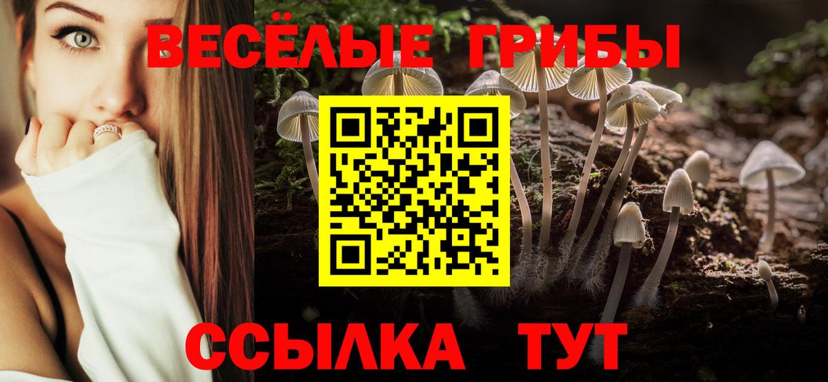 Кировск  Галлюциногенные грибы Psilocybe  Вход с VPN  Псилоцибиновые грибы Psilocybe 